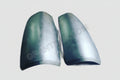A pair of silver taillight fillers for 99-06 Chevy/GMC vehicles.